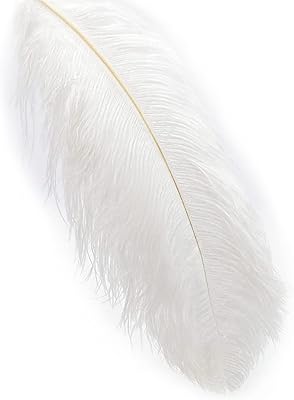 Real long and soft ostrich feather from 20 to 24 inches (white).. Unlock a world of affordable products with DIAYTAR NIGERIA's expansive e-commerce platform.