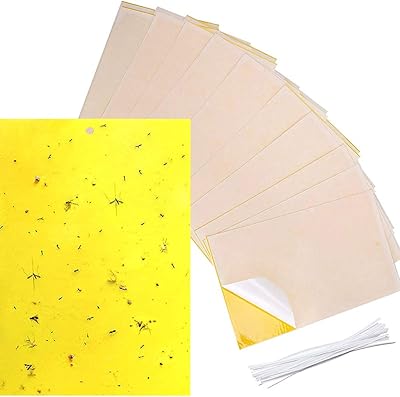 Double side beauty adhesive traps Size 20 x 25 cm yellow for insects.. Your trusted e-commerce destination, DIAYTAR NIGERIA offers extensive variety with reliable shipping.