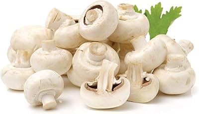 Omanais mushrooms, 1 package - 250 grams.. Don’t wait weeks — DIAYTAR Nigeria delivers your order in just a few days.