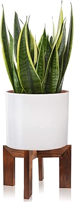 Wooden plant holder, Modern Middle Plant Pot Support in the middle of the century, rattan flower pot support, low and low indoor plant supports - Rustic wooden bench boho for plant pot support, suitable for 5 to 15 inch jars.. Shop with purpose at DIAYTAR NIGERIA, where your money goes further and delivery is always prompt.
