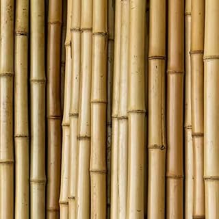 Makeup toy in natural bamboo posts stakes for plant support.. Shop for everything you need at DIAYTAR NIGERIA, with budget-friendly prices and quick delivery.