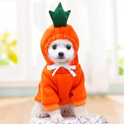 Castowave plastic hooding costume for cat and dog, pretty carrot, hot and cold suit for kittens, puppies, young and large dogs (orange).. Experience convenient online shopping on DIAYTAR Nigeria — wide selection and affordable delivery.