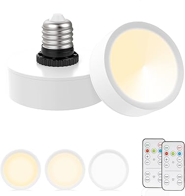 LABOREDUCER LOT OF 2 Rechargeable LED rechargeable lights for E26 socket, screw bulbs with remote control, battery bulb, non -electric for wall lamp, table lamp, suspension (2 2).. DIAYTAR NIGERIA: Where every search yields affordable results delivered promptly to your door.