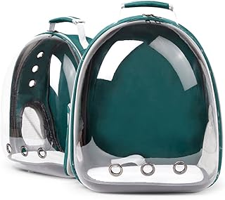 Transport Backpack for pets for cats and puppies, breathable animal transport bag, outdoor portable travel backpack for cats and dogs, open space (green).. DIAYTAR NIGERIA: Where shopping is easy, prices are low, and delivery is just days away.