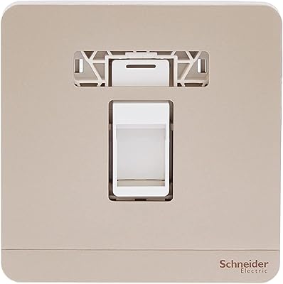 Schneider Electric Avataron on golden wall plaque E8331RJS_WG - 1 KEYSTONE GAND WITH TAKED WITHOUT KEYSTONE RJ -45.. Join millions of satisfied shoppers using DIAYTAR Nigeria every day.