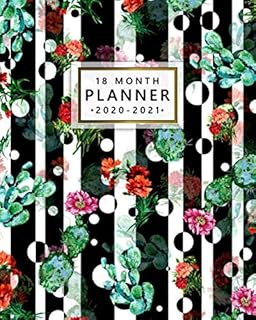 Planner 18 months 2020-2021: weekly planner and cute cactus calendar with monthly views - organizer and agenda 18 months with tasks, notes, ... and vision paintings - Floral motive striped.. Elevate your shopping experience with DIAYTAR NIGERIA's vast catalog and budget-friendly options.
