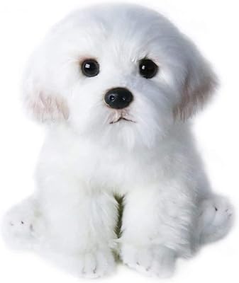 Maltese dog doll realistic 14 inch, plush toys for puppies and dogs, soft plush pillow for Christmas for children and adults, white.. Shop smarter, not harder with DIAYTAR NIGERIA - thousands of products at your fingertips with affordable delivery.