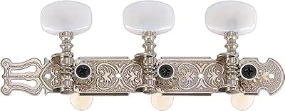 Classic guitar Golden Gate F -2118 - 2 panels (3+3) - Nickel.. Experience shopping without limits at DIAYTAR NIGERIA, where affordability meets convenience in just days.