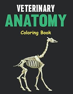Veterinary anatomy coloring book: a dog, a cat, a horse, a frog, a bird, a internal anatomy coloring book. Perfect gift for all ages, children of 4, 5, 6, 7, 8, 9 and 10 years. Flight-1.. Experience budget-friendly shopping at DIAYTAR NIGERIA, Nigeria's premier online marketplace with quick delivery.