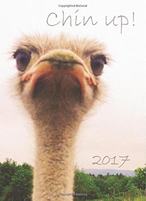 My Big Fat Calendar 2017 - Chin Up! (Great Britain): 1 day per page, DIN A4.. Experience the DIAYTAR difference with our vast product selection and delivery within 5-8 days.