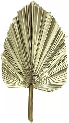 Bamboo decor | Natural dried plants for scratch_ floral_feuilles and herbs for vintage bohemian decoration (palm leaves, 43 cm).. Reliable delivery, all over Nigeria — that’s DIAYTAR Nigeria promise.
