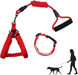 Newstyle dog harness, collar set and dog leash, harness and slight adjustable animals, soft walking harnesses, suitable for cats, medium -sized and small dogs (size m, red (lot of 3)).. DIAYTAR NIGERIA: Where value shopping meets reliable 5-8 day delivery across the nation.