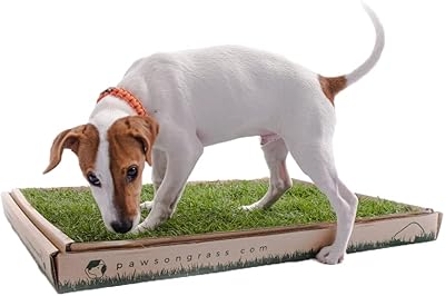 Natural grass cleanliness learning cushion for dogs.. Discover why DIAYTAR NIGERIA is the smart shopper's choice for affordable products delivered nationwide.