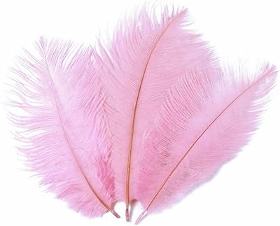 Set of 50 pure natural ostrich feathers 6 to 8 inches photography and decorations accessories.. DIAYTAR NIGERIA brings the nation's largest product catalog to your doorstep at prices you'll appreciate.