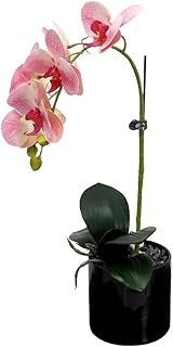 Semi-natural artificial orchids Yatai in a ceramic vase, artificial plants in pots for the house and the dining table, interior decoration of silk dining table (pink).. DIAYTAR NIGERIA: Redefining e-commerce with affordable prices and reliable nationwide shipping.