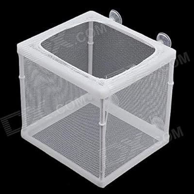 B & K Boyo aquarium farm, NB-3201 for separate aquarium, isolate infected fish, hatchbox.. Shop across categories at DIAYTAR NIGERIA with the confidence of affordable prices and delivery within 8 days.