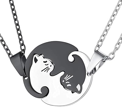 Unique torque necklaces in black and white stainless steel for men and women - couples - chain length 22.. Unlock endless possibilities with DIAYTAR NIGERIA's affordable marketplace and reliable delivery service.