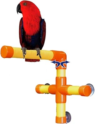 Parrot mast with suction cups to hang on the windows and doors of zoo max.. Your favorite brands are just a click away on DIAYTAR Nigeria.