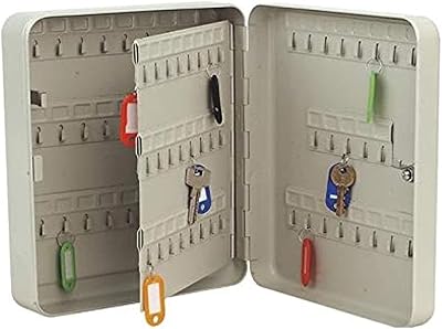 Metal key box (93 parts).. DIAYTAR NIGERIA: Where every click leads to affordable purchases delivered promptly to your door.