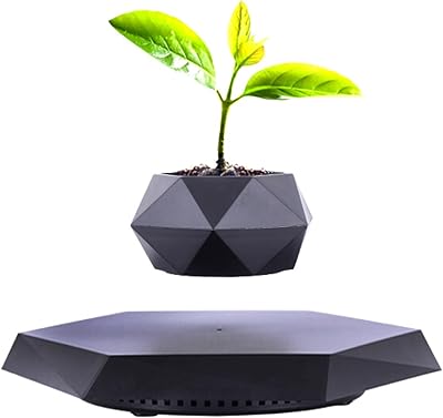 Pot of Magoust Magne Magnetric Floating Magnic For Succulent Plants, Air Bonsai, Flowers and False Plants, Unique Decoration of Office at Home (Black).. Fast delivery is our promise — DIAYTAR Nigeria keeps it real.