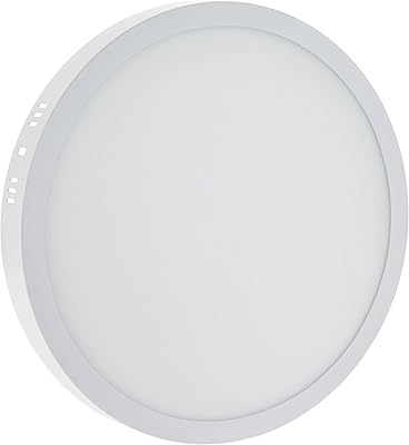 Round led ceiling lamp - white, 10 inches, 30 watts