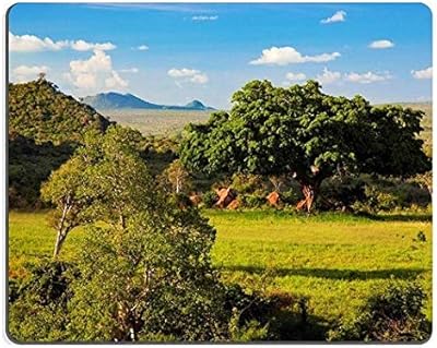 17p01265 Prairie mouse mat with Flore Riche Savannah and Bush landscape in Africa.. Experience DIAYTAR NIGERIA, where extensive product variety meets pocket-friendly prices and reliable delivery.