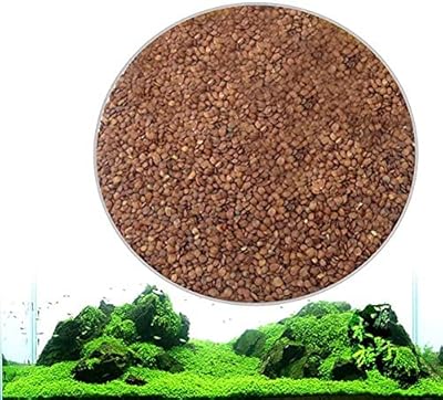 New acrete aquarium plant seeds, aquarium aquarium grass and aquarium decoration in front, large plant (x-s).. Shop confidently with DIAYTAR NIGERIA, offering affordable prices and reliable delivery within a week.