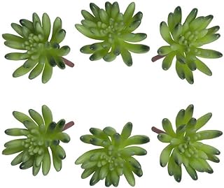 6 pieces yatai false succulent plant failure plantinhas false flowers plants shrubs for the decoration of the house, office, project of works of art (green).. Experience the ease of digital shopping with DIAYTAR NIGERIA's affordable and diverse marketplace.