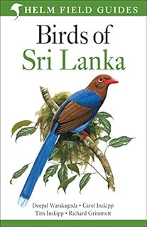 Sri Lanka birds.. Shop confidently with Nigeria's most trusted e-commerce platform, offering swift and affordable delivery.