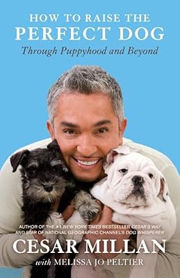 How to raise the perfect dog: through childhood and beyond.. E-commerce made for Nigeria — fast delivery and low prices at DIAYTAR.
