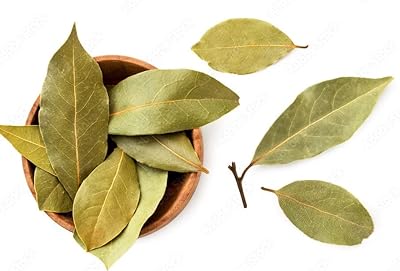Safran natural bay leaves, 50 grams.. From household needs to gadgets, DIAYTAR Nigeria has it all.