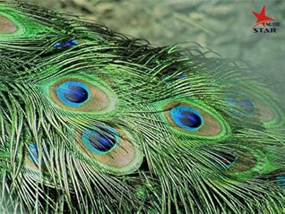 Real peacock feathers. Original full length of More Bank. Package of 50 feathers... Experience the DIAYTAR difference with our vast product selection and delivery within 5-8 days.