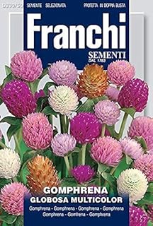 Gumphrena Globosa Multicolored Franci \ "Garden Maintenance \".. Discover the convenience of DIAYTAR NIGERIA's vast e-commerce platform with delivery in just 5-8 days.