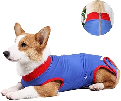Healing costume for Arabic dog, healing shirt for abdominal wounds, Comfortable surgical recovery combination for pets, anti-sloping combination for small and medium-sized dogs (size m).. DIAYTAR Nigeria offers the perfect blend of affordability and efficiency. Shop now and get your products delivered between 5 and 8 days nationwide.