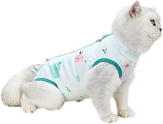 Professional recovery combination for dogs and cats with anti-switching for abdominal wounds or skin diseases, cat underwear after sterilization and surgery, green color, size L.. Need something fast? Order it now from DIAYTAR Nigeria.