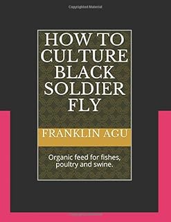 How to cultivate the black soldier fly: organic foods for fish, poultry and pigs... DIAYTAR NIGERIA provides endless shopping possibilities with affordable prices and prompt delivery service.
