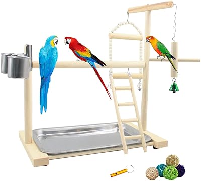 Gymnastics training game support for birds and parrots with scale.. No stress, just speed — DIAYTAR Nigeria ships in days.