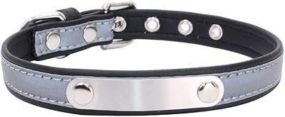 Dog necklace in high visibility, ultra durable, reflective, scratch -resistant, stainless steel, adjustable collar with relief identification plate for puppy (large, black).. Experience the ease of modern shopping with DIAYTAR NIGERIA's diverse marketplace delivered promptly.