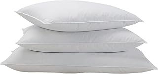 Plumes pillow and Marriott down - Double bedroom pillow in feathers and down (standard).. DIAYTAR NIGERIA: Your affordable gateway to thousands of products delivered within a week.