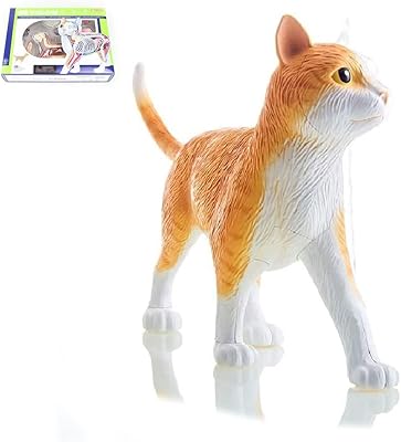 Skeleton model 30 cm Anatomical cat model removable organs Body 28 pieces anatomical model of semi-transparent medical design chat model for training for gift teaching for cat lovers.. Transform your shopping experience with DIAYTAR NIGERIA's vast product selection delivered at unbeatable prices.