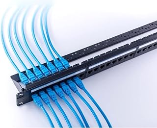 DKURVE® 24 Port CAT6 Brew Panel with support.. From essentials to electronics, DIAYTAR Nigeria ships your order in no time.