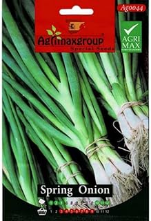 High quality spring onion seeds from Agrimaxgroup® \ "Garden Care \".. Shop the future with DIAYTAR NIGERIA - thousands of products, unbeatable prices, delivery within a week.