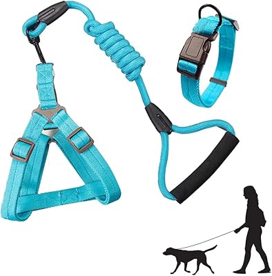 Newstyle dog harness, collar and leash set for dogs, harnesses and leaving light adjustments for pets, soft walking harnesses, suitable for cats, medium -sized and small dogs (size L, blue (lot of 3)).. DIAYTAR NIGERIA: Redefining online shopping with unbeatable prices and consistent delivery times.