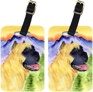 Carolines Treasures SS8233BT Cane 444 luggage tags; Pack - 2.. Your complete shopping solution, DIAYTAR NIGERIA offers extensive choice with competitive prices and delivery.