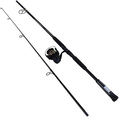 Daiwa BG4000/802m pre-assembled salt water kit, length 8 ", 2 room rod, 7 bearings, medium power.. With DIAYTAR Nigeria, you can browse through thousands of items at the best prices. Place your order today and receive it in less than a week.
