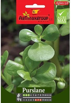 High quality pourpier seeds from Agrimaxgroup® \ "Garden Care \".. DIAYTAR NIGERIA makes every purchase count with our affordable prices and reliable 5-8 day shipping.