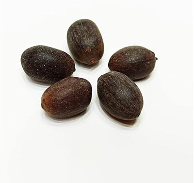 Latus seeds laxmi puja/havan and culture (5 seeds) by Kamal Gatta.. DIAYTAR NIGERIA makes online shopping accessible with our comprehensive platform and prompt delivery service.