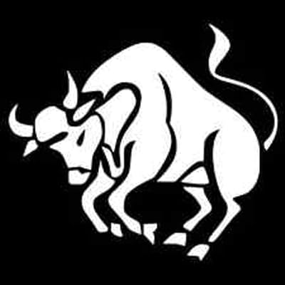 Vinyl sticker CCI Taurus Bull Zodiac | Movies of laptops, trucks, vans | White | 5.5 inches | CCI298.. Shop smarter, not harder with DIAYTAR NIGERIA - thousands of products at your fingertips with affordable delivery.