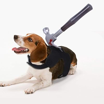 Ohana Halloween Props Hammer Harness for pets, cats, dogs, little rabbit costumes, black, oph-010, pet.. Get top brands at bottom prices, only on DIAYTAR Nigeria.