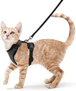 Anti-evasion chat harness in adjustable and personalized mesh for walking (size s, black).. Your one-click solution to affordable shopping, DIAYTAR NIGERIA delivers quality products nationwide.